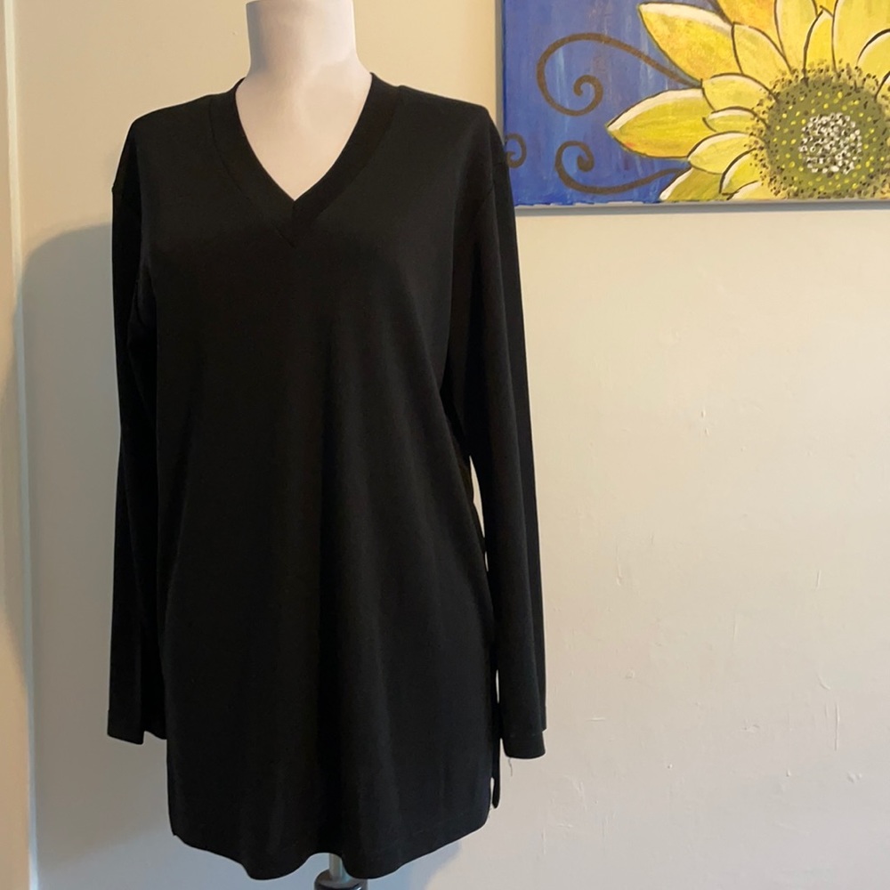 Express Tunic Long sleeve V neck Top